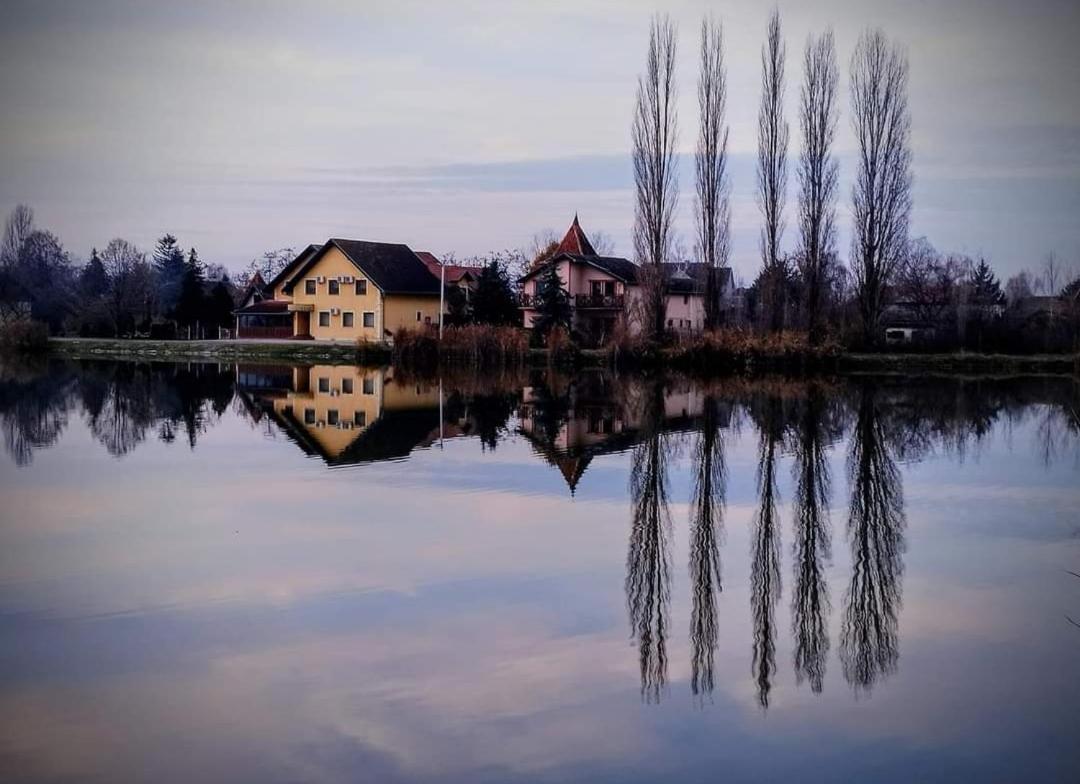 Guest House Vila Alexandar Palić Zewnętrze zdjęcie