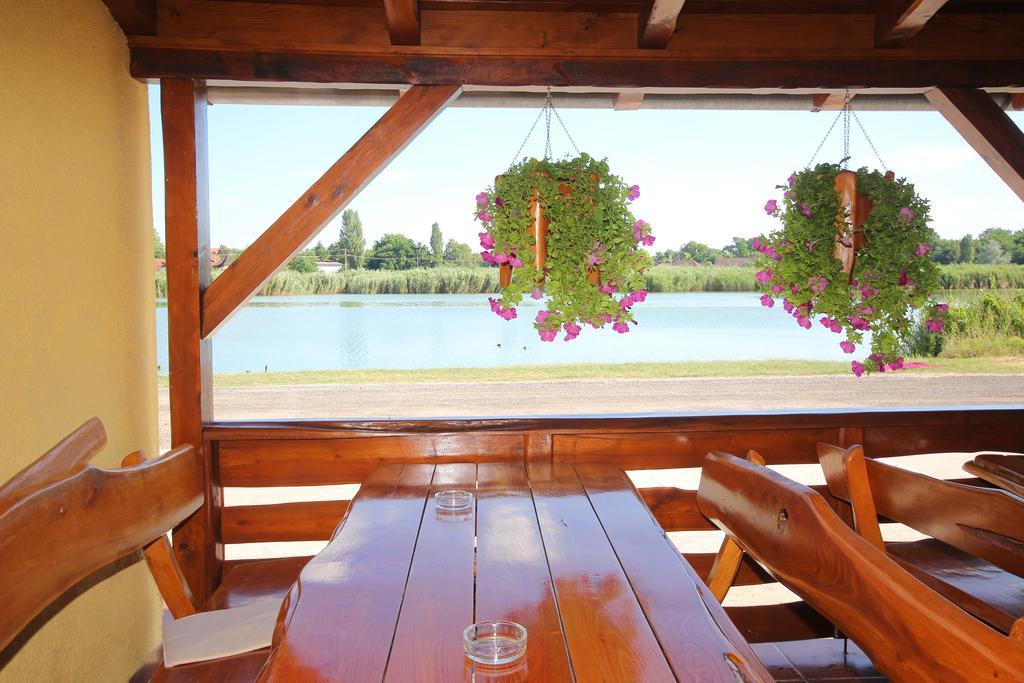 Guest House Vila Alexandar Palić Zewnętrze zdjęcie